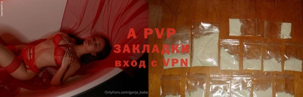 стафф Белоозёрский