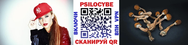 где продают наркотики  Мытищи  Псилоцибиновые грибы мухоморы 